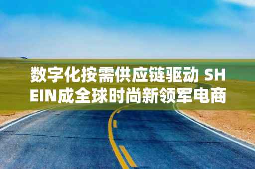 数字化按需供应链驱动 SHEIN成全球时尚新领军电商
