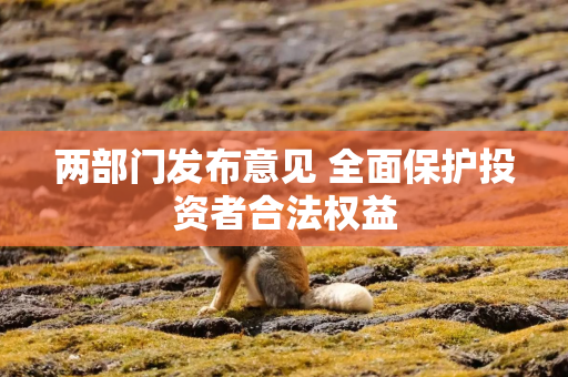 两部门发布意见 全面保护投资者合法权益