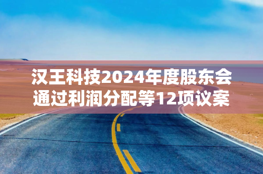 汉王科技2024年度股东会通过利润分配等12项议案 中小股东高比例支持