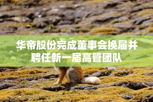 华帝股份完成董事会换届并聘任新一届高管团队