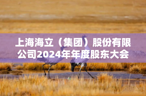 上海海立（集团）股份有限公司2024年年度股东大会通过12项议案，关联交易及中小投资者单独计票议案获通过