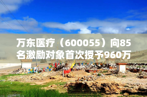 万东医疗（600055）向85名激励对象首次授予960万份股票期权，行权价15.05元/份
