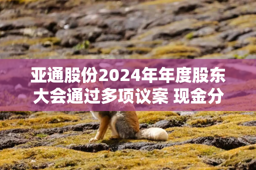 亚通股份2024年年度股东大会通过多项议案 现金分红获高票支持