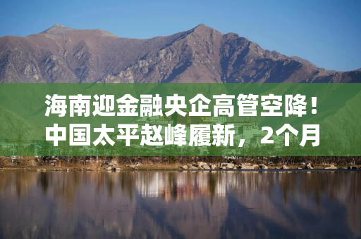 海南迎金融央企高管空降！中国太平赵峰履新，2个月前新任太平人寿党委书记