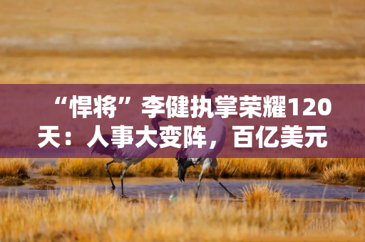 “悍将”李健执掌荣耀120天：人事大变阵，百亿美元豪赌AI
