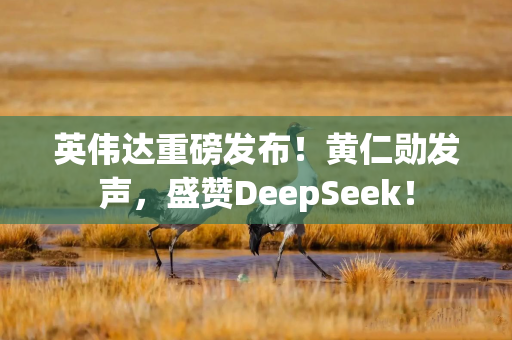 英伟达重磅发布！黄仁勋发声，盛赞DeepSeek！