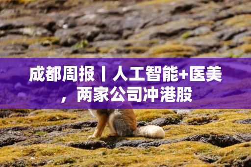 成都周报丨人工智能+医美，两家公司冲港股