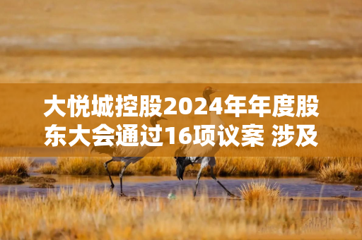 大悦城控股2024年年度股东大会通过16项议案 涉及利润分配、担保额度等核心事项