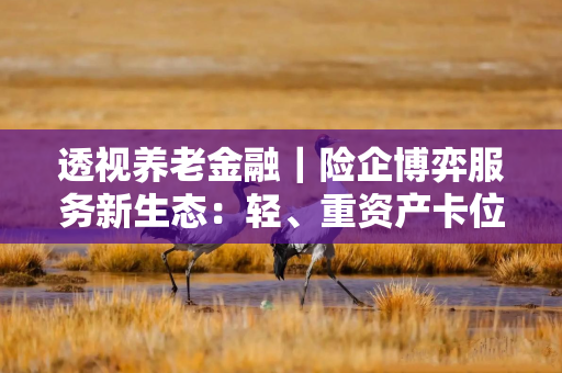 透视养老金融｜险企博弈服务新生态：轻、重资产卡位养老社区赛道，“攻坚”居家养老