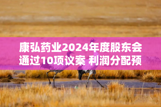 康弘药业2024年度股东会通过10项议案 利润分配预案获99.99%高票通过