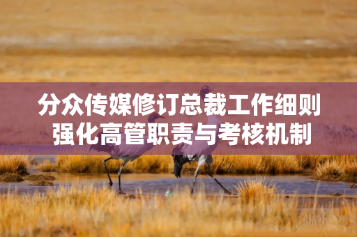 分众传媒修订总裁工作细则 强化高管职责与考核机制