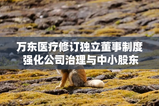 万东医疗修订独立董事制度 强化公司治理与中小股东权益保护