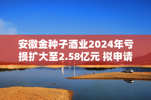 安徽金种子酒业2024年亏损扩大至2.58亿元 拟申请20亿元银行授信
