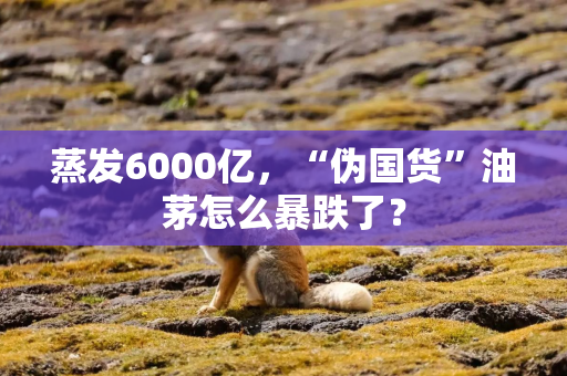 蒸发6000亿，“伪国货”油茅怎么暴跌了？