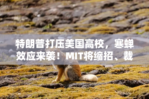 特朗普打压美国高校，寒蝉效应来袭！MIT将缩招、裁员，哥大申请人数大降