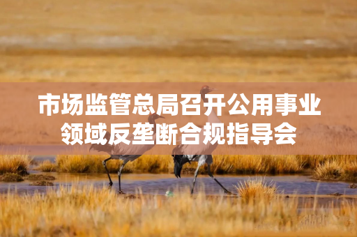 市场监管总局召开公用事业领域反垄断合规指导会