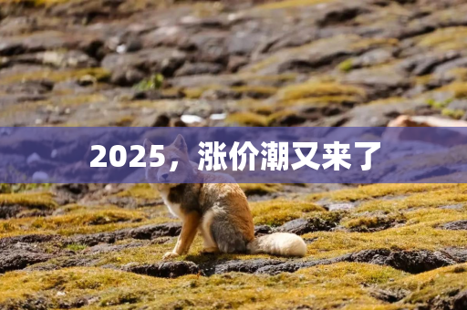 2025，涨价潮又来了