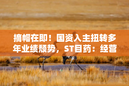 摘帽在即！国资入主扭转多年业绩颓势，ST目药：经营状况不会发生重大变化