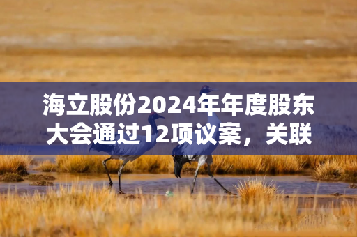 海立股份2024年年度股东大会通过12项议案，关联交易及对外担保获批准