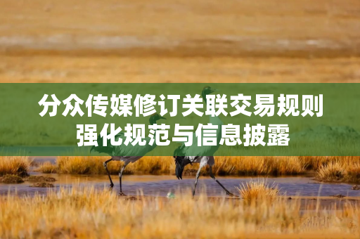 分众传媒修订关联交易规则 强化规范与信息披露