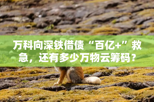 万科向深铁借债“百亿+”救急，还有多少万物云筹码？