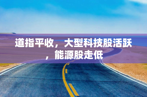 道指平收，大型科技股活跃，能源股走低