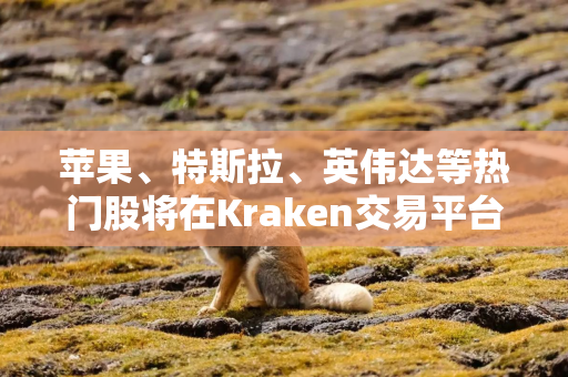 苹果、特斯拉、英伟达等热门股将在Kraken交易平台上以代币形式交易