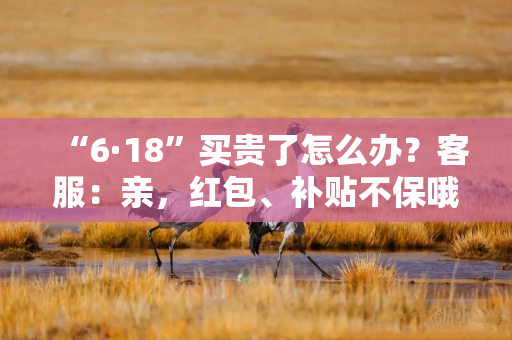 “6·18”买贵了怎么办？客服：亲，红包、补贴不保哦