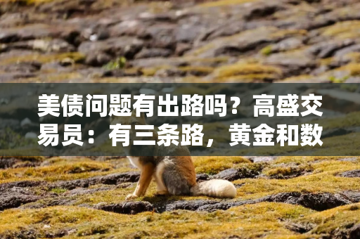 美债问题有出路吗？高盛交易员：有三条路，黄金和数字币已经体现了