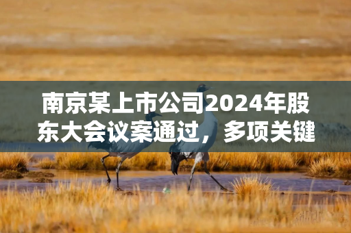 南京某上市公司2024年股东大会议案通过，多项关键数据披露