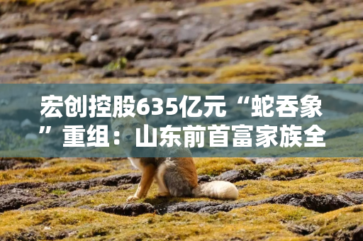 宏创控股635亿元“蛇吞象”重组：山东前首富家族全力运作，股价却差点跌停