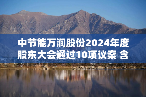 中节能万润股份2024年度股东大会通过10项议案 含利润分配及回购计划