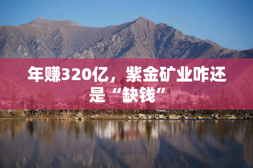 年赚320亿，紫金矿业咋还是“缺钱”