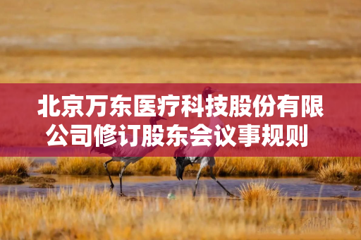 北京万东医疗科技股份有限公司修订股东会议事规则 强化公司治理与股东权益保障