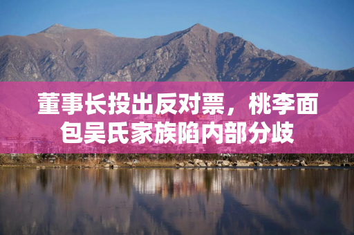 董事长投出反对票，桃李面包吴氏家族陷内部分歧