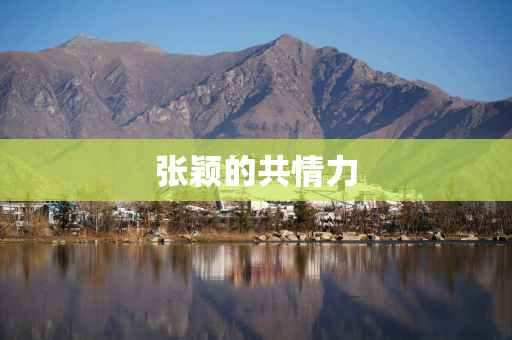 张颖的共情力