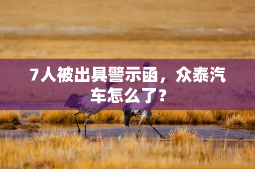 7人被出具警示函，众泰汽车怎么了？