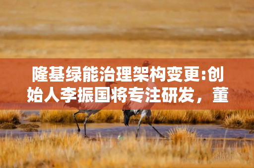 隆基绿能治理架构变更:创始人李振国将专注研发，董事长钟宝申负责经营管理