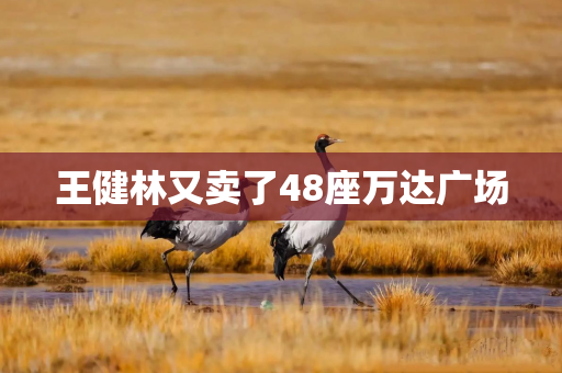 王健林又卖了48座万达广场