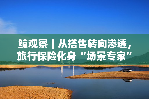 鲸观察｜从搭售转向渗透，旅行保险化身“场景专家”，精准营销重塑销售模式