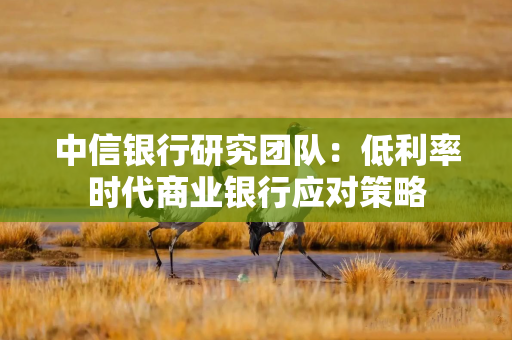 中信银行研究团队：低利率时代商业银行应对策略