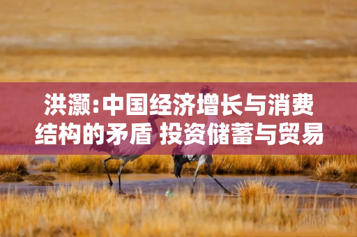 洪灏:中国经济增长与消费结构的矛盾 投资储蓄与贸易顺差深层分析