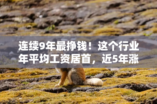 连续9年最挣钱！这个行业年平均工资居首，近5年涨幅超34%