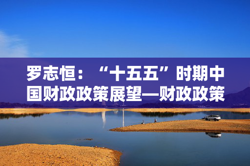 罗志恒：“十五五”时期中国财政政策展望—财政政策转型的必要性