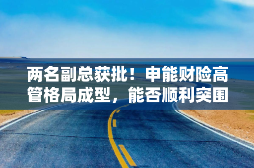 两名副总获批！申能财险高管格局成型，能否顺利突围？