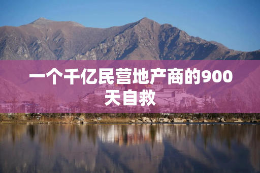 一个千亿民营地产商的900天自救