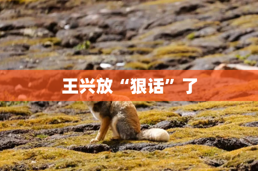 王兴放“狠话”了