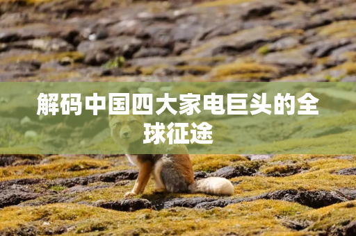 解码中国四大家电巨头的全球征途