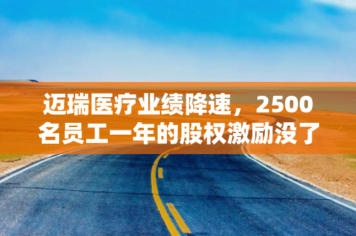 迈瑞医疗业绩降速，2500名员工一年的股权激励没了