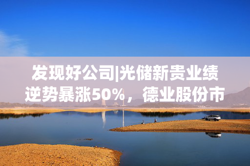 发现好公司|光储新贵业绩逆势暴涨50%，德业股份市值跻身行业前五，应收账款飙升两倍需警惕